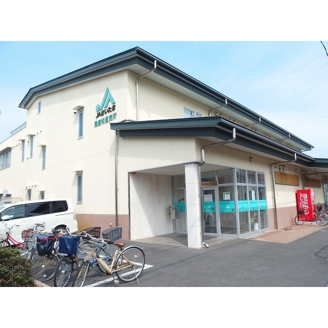 アムール 領家 周辺