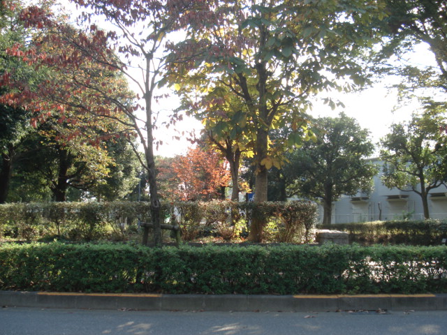 レアルＭＫＭ 仲田公園まで655ｍ