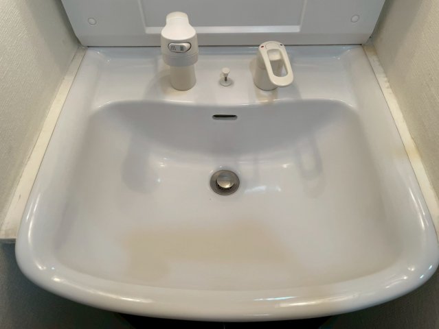 グラントゥルース練馬21501号室 洗面