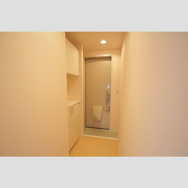 Emile(エミール) カウンター吊戸シューズBOX