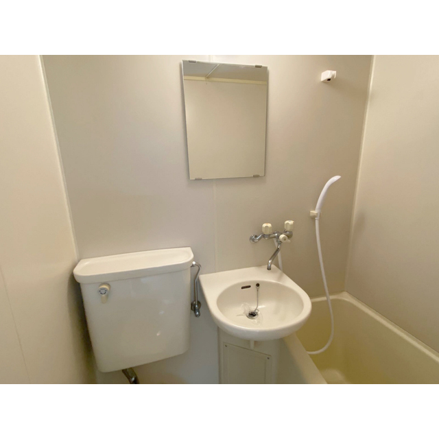 ヤングヒルズ越谷Ⅱ211号室 内観