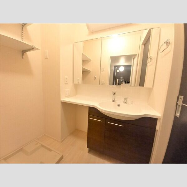 アルカンシェル北越谷106号室 洗髪洗面化粧台