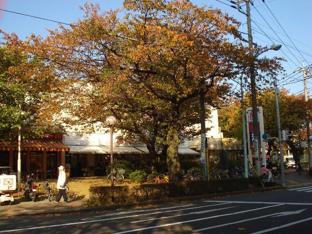 エビスヤ（ＥＢＩＳＵＹＡ） 壱番館 大丸ピーコック国立さくら通り店まで378ｍ