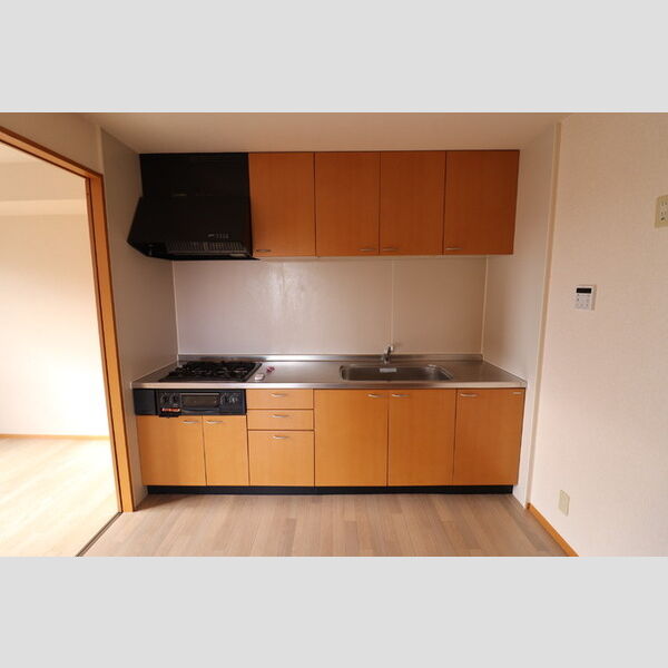 グリーンヒルズ201号室 システムキッチン