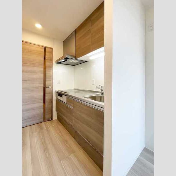 Lilysia Garden201号室 キッチン