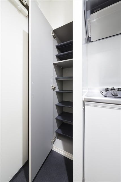 Ｐｌａｔｉｎｕｍ　Ｃｏｕｒｔ　ＥａｓｔⅡ3階 シューズボックス