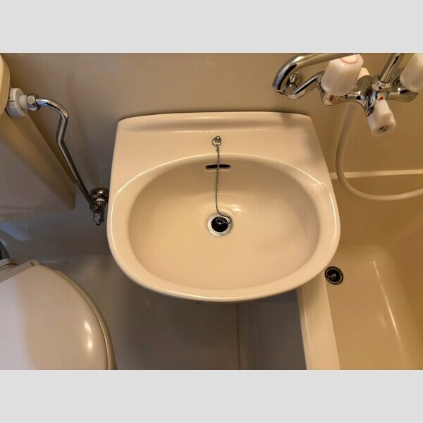 ロフティパピヨン108号室 洗面所