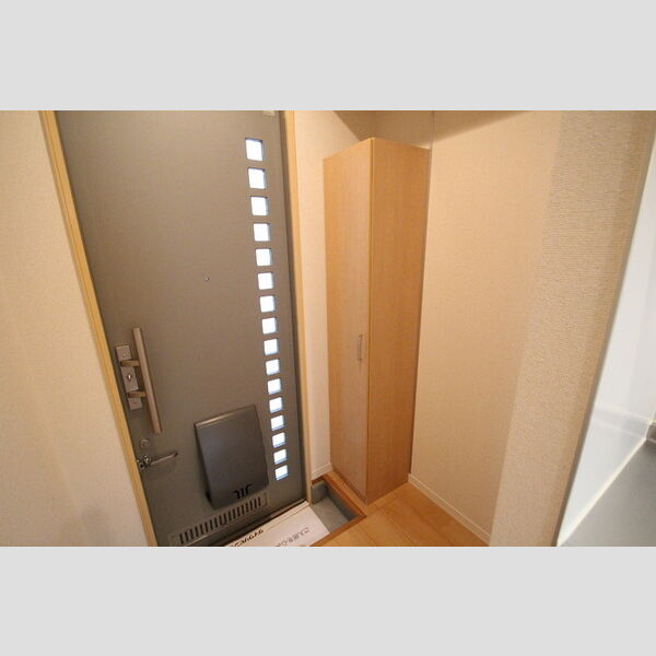 サザンEX　Ⅱ トールタイプシューズBOX