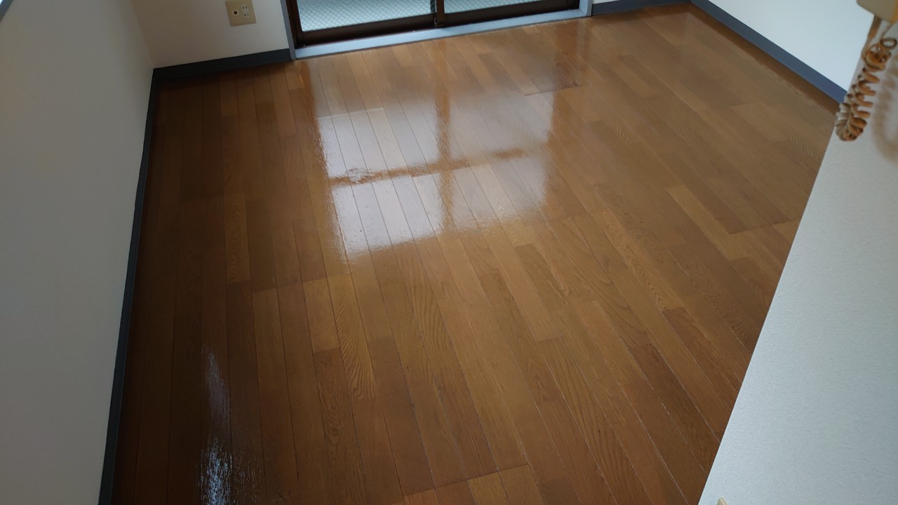 スカイコート新宿落合第5 ※過去退去時のお写真です