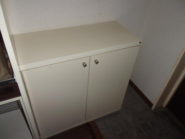 メゾンカルム横浜 靴入