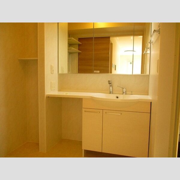 ルミウス208号室 洗髪洗面化粧台