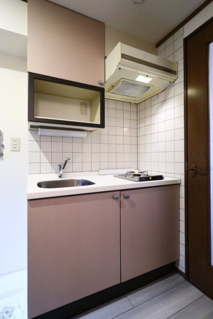 ラコスタ新丸子Ⅱ キッチン