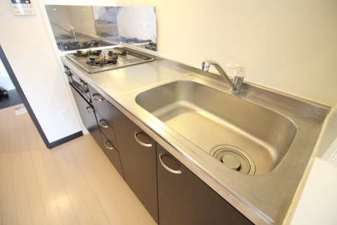 レオネクストドリーム金子 同タイプ写真の為、現況優先致します。