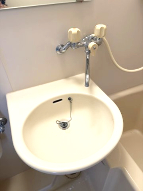 ラフォーレ相武台 洗面