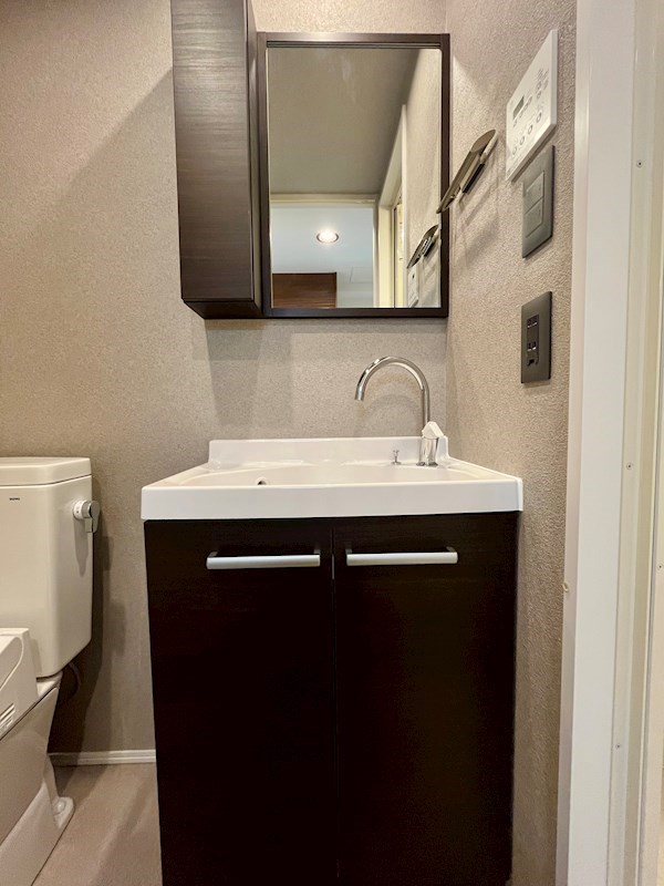 レジディア虎ノ門6階 洗面