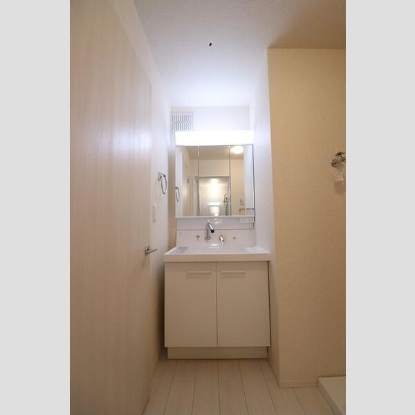 グランヴェール203号室 洗髪洗面化粧台