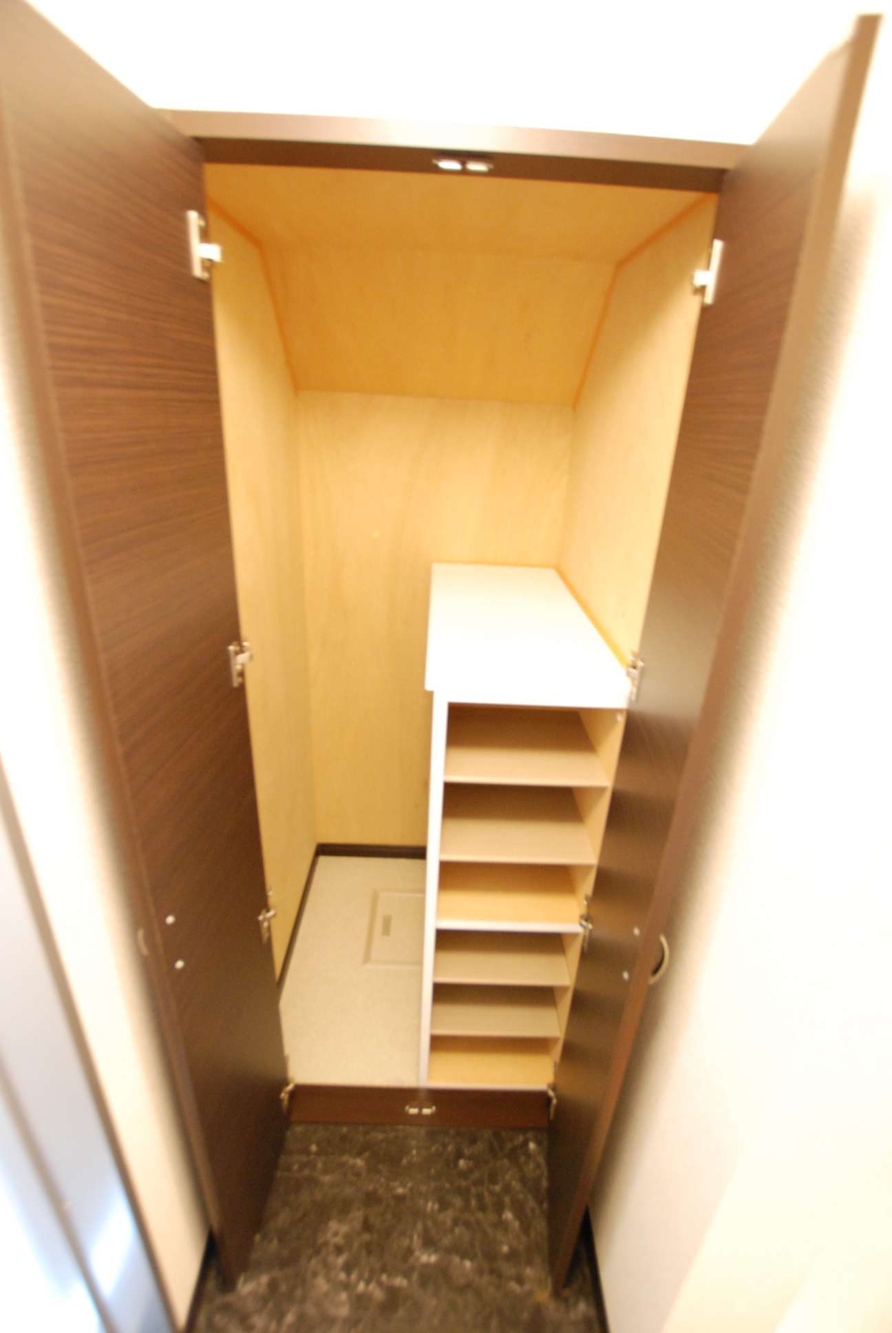 レオネクストビィグラッドⅡ 内観