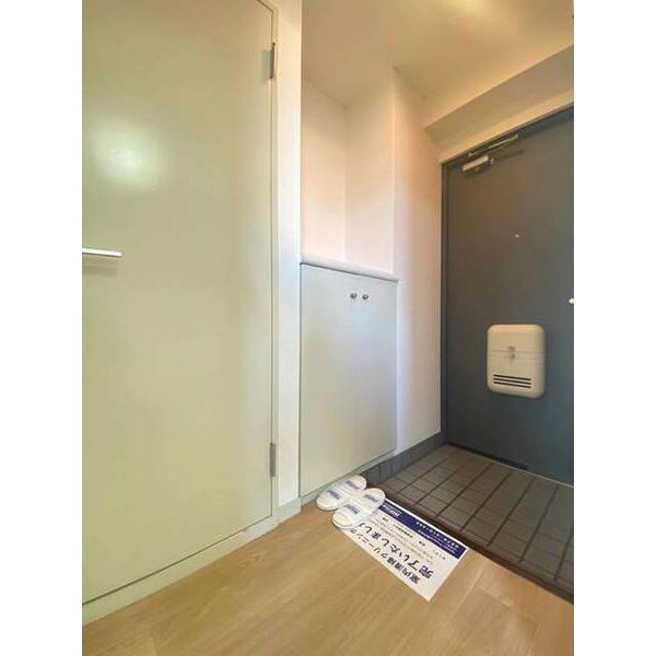 岩田ビル0301号室 玄関