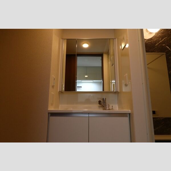 グラナーデ新宿101号室 洗面化粧台