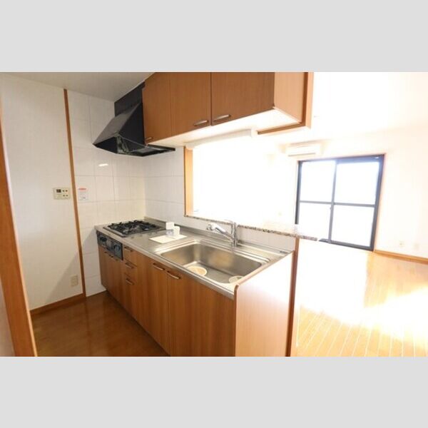 フレグランス303号室 対面システムキッチン