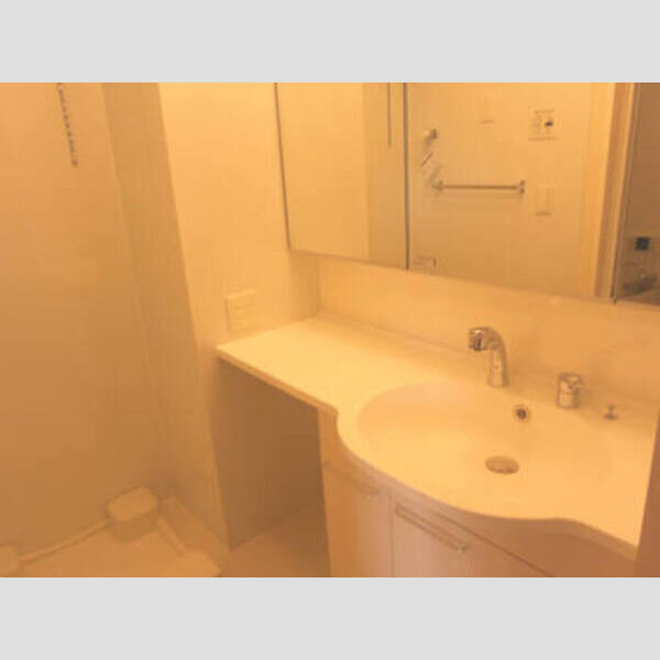 ドミール社家 201 洗髪洗面化粧台