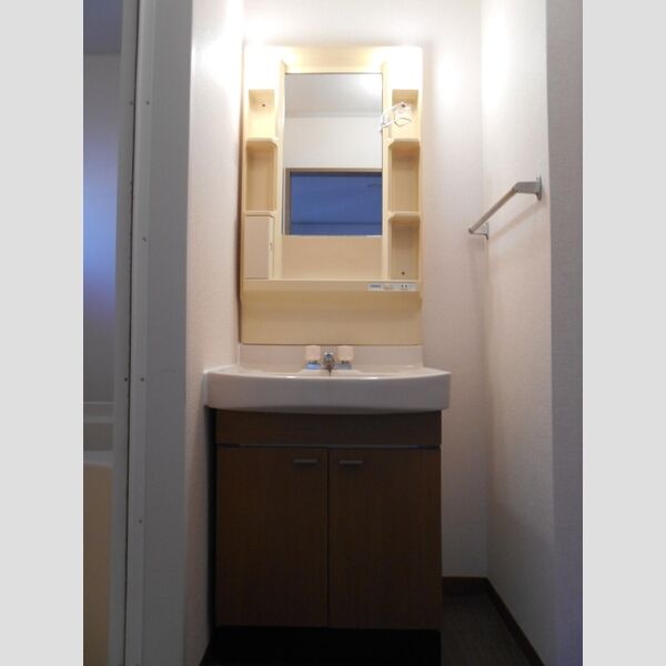 サウスメゾン　A201号室 洗面台