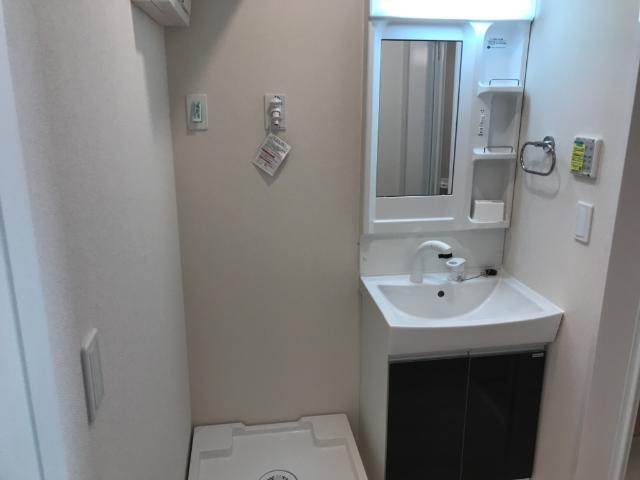 ラフィネ201号室 洗髪洗面化粧台