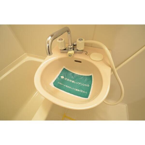 エステートピアマルイI101号室 洗面