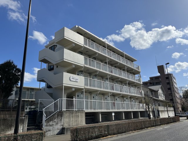 エクセルハイム平山0205号室 エントランス