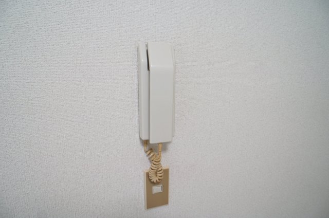コンフォート実籾0205号室 セキュリティ