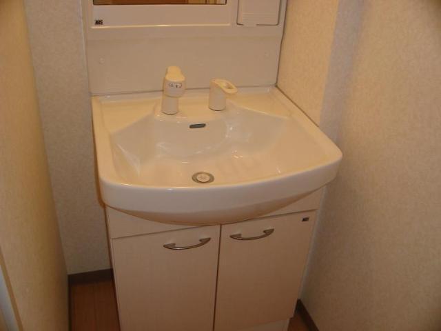 セレーヌ泉206号室 洗面