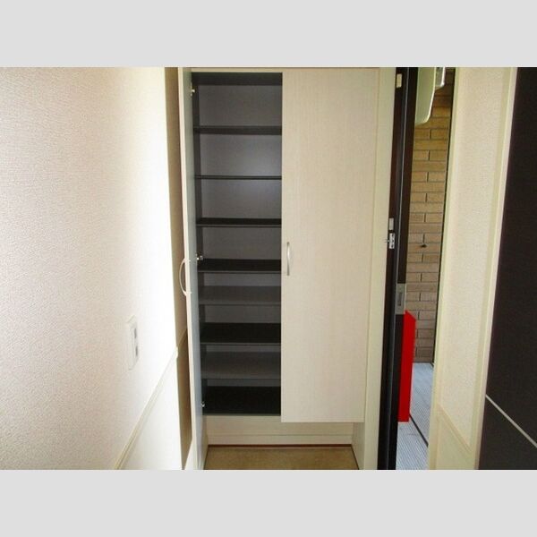 フェザント　A シューズBOX