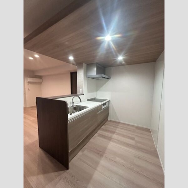 センカⅢ203号室 システムキッチン