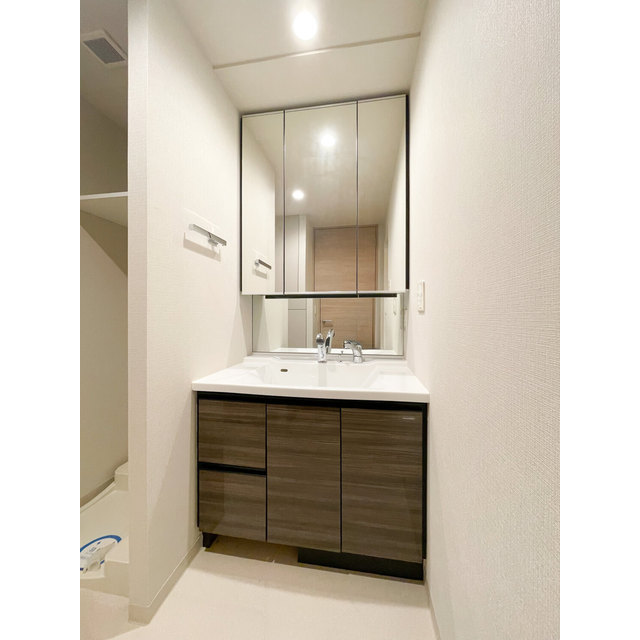 ザ・レジデンス赤坂檜町1203号室 内観