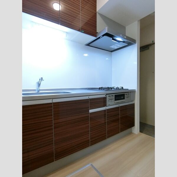 ポゥローニア湘南102号室 システムキッチン