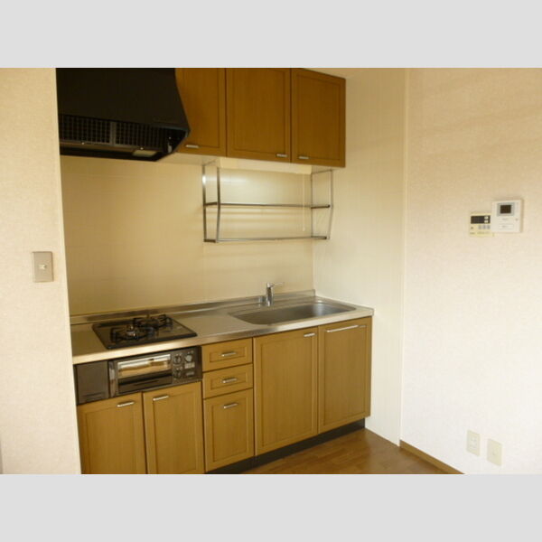 プランドール市川303号室 2口ガスコンロ付システムキッチン