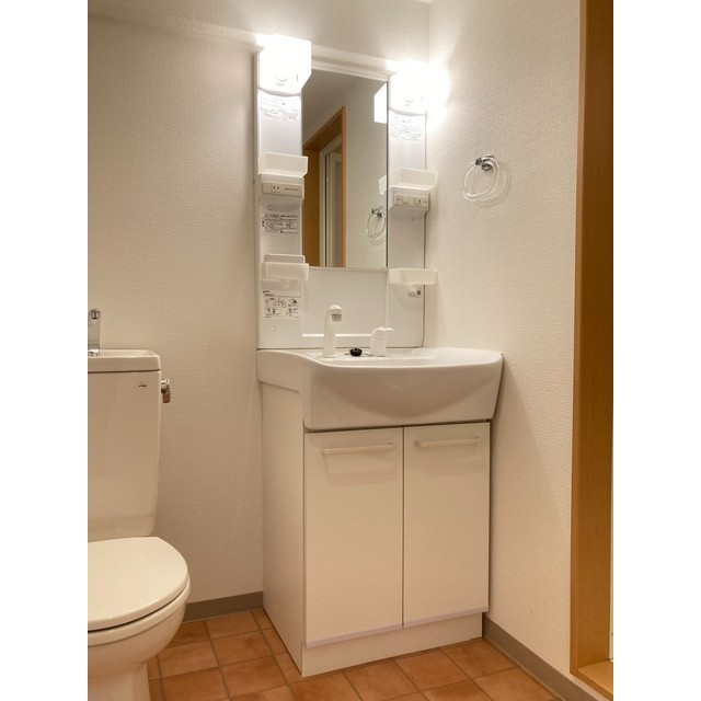 レオグランデ 洗髪洗面化粧台