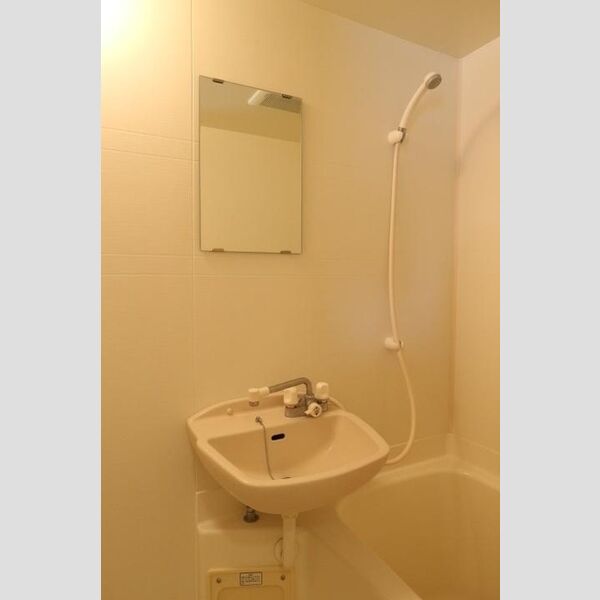 フラッツ・シゲ302号室 洗面台