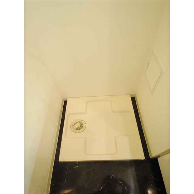 レキシントンスクエア白金高輪1103号室 室内洗濯機置場