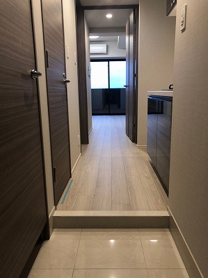 DIPS金町レジデンス210号室 リビング