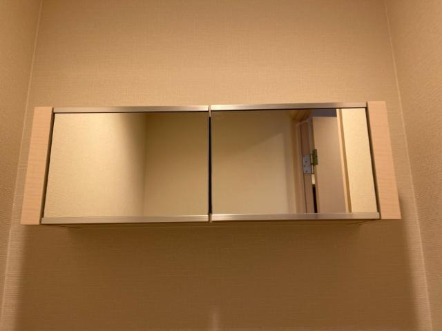 クレアトゥール　エスト　(Ｃｒｅａｔｅｕｒ　ｅｓｔ)205号室 トイレ収納