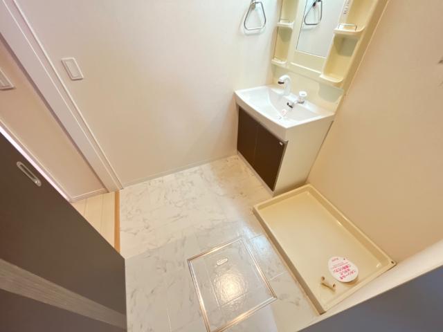 ロイヤルパレスＳ103号室 脱衣所