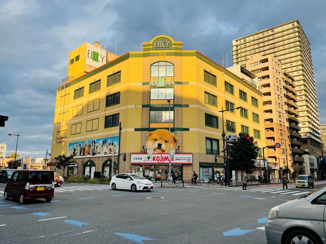 ＮＥＸＴＡ追分0804号室 同建物別部屋の参考画像