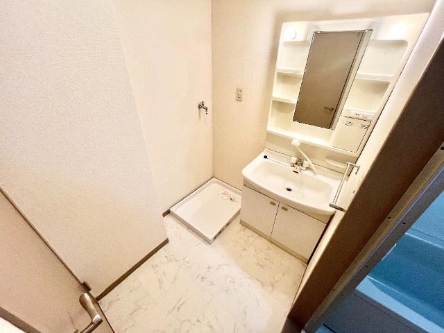 メゾンエクセル203号室 洗髪洗面化粧台（イメージ）