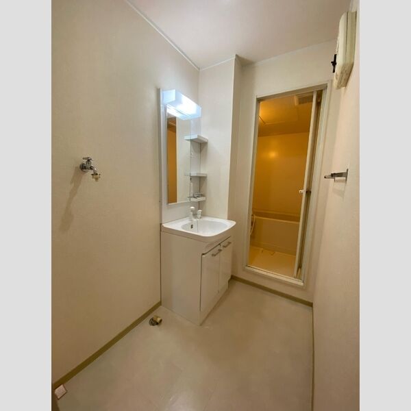 トルペプラザ101号室 洗面