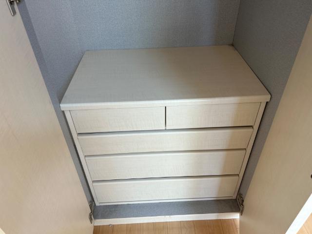 ラッフィナート田園102号室 タンス