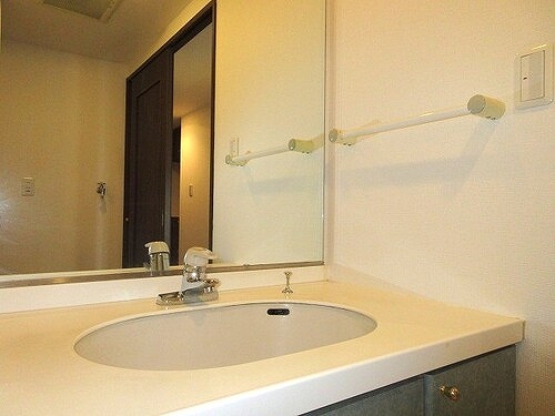 ライオンズガーデン武蔵関公園弐番館 洗面所