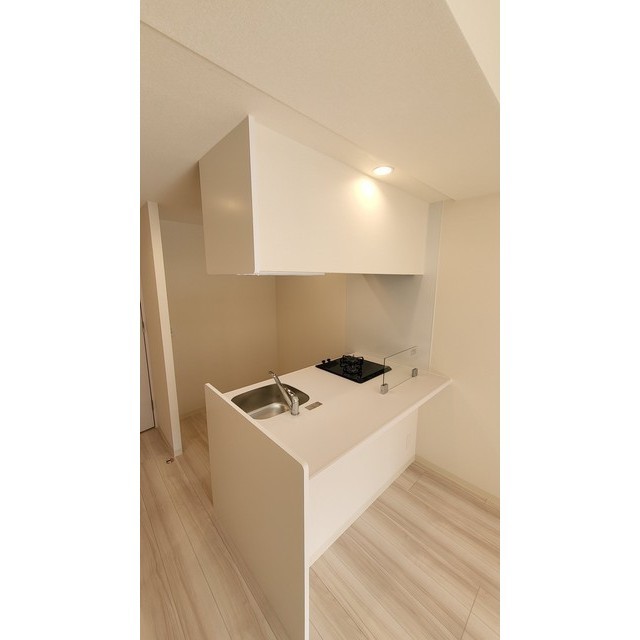 プレサンスブルーム浅草North キッチン