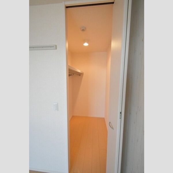 グリーンハイム303号室 ウォークインクローゼット