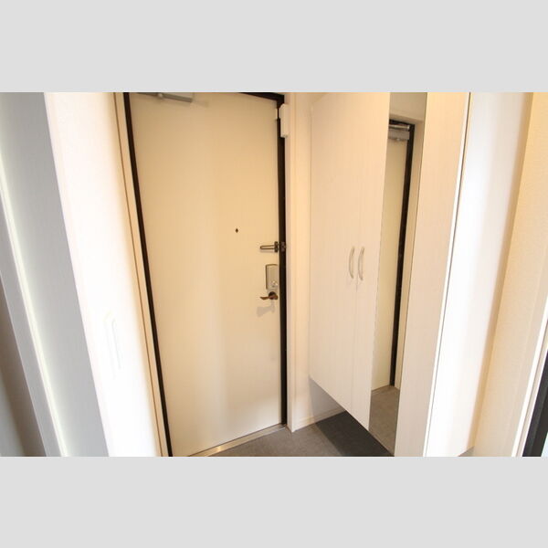 セジュール保塚A203号室 玄関の大型シューズボックス姿鏡付き!